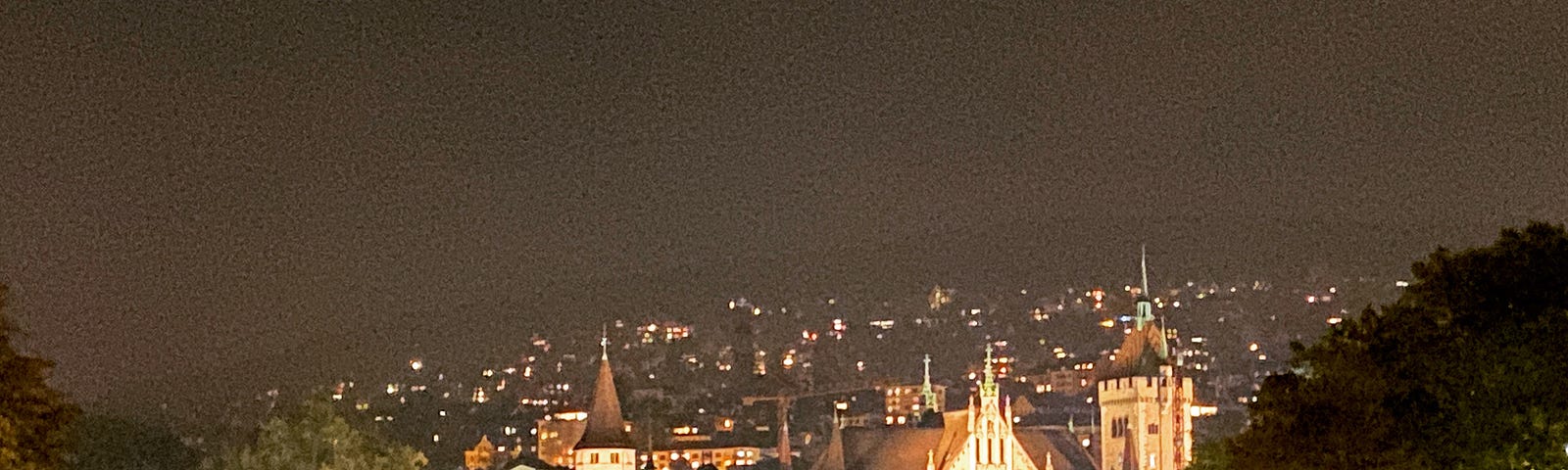 Lights shine out across stunning Zurich at night.