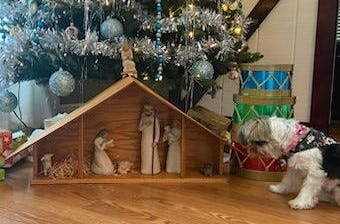 A puppy looking at a manger beneath a Christmas tree