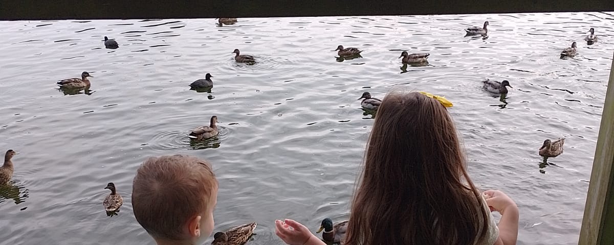 two children looking at ducks in a pond