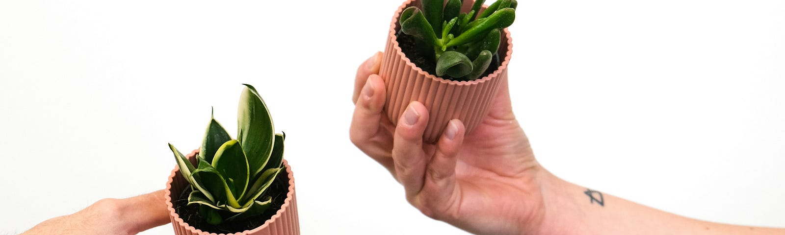 Three arms extend in from the left and right border, holding potted plants in their hands. White background