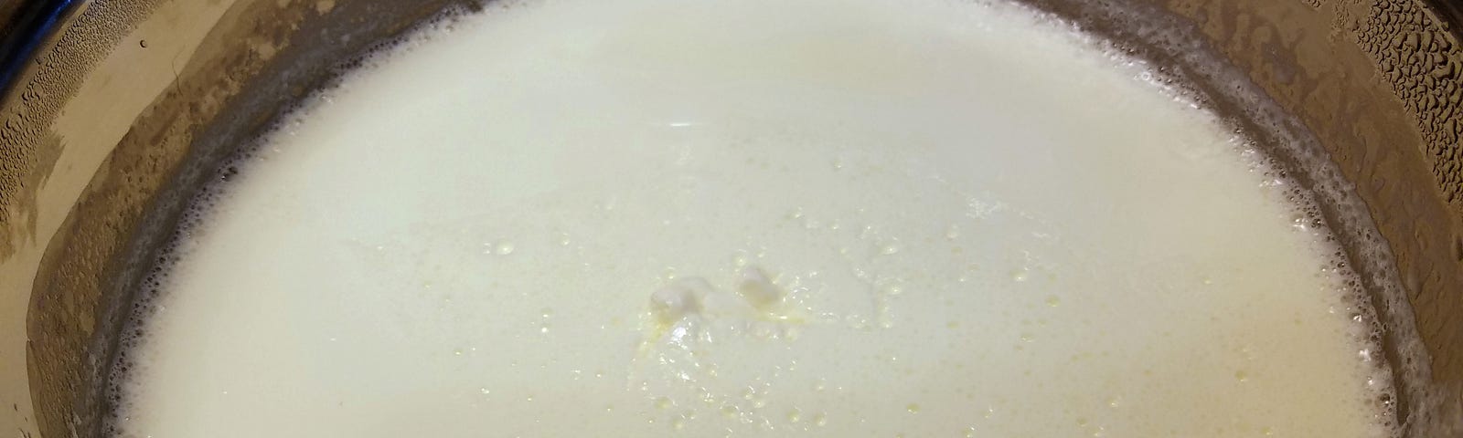 Fresh batch of yogurt in an Instant Pot liner.