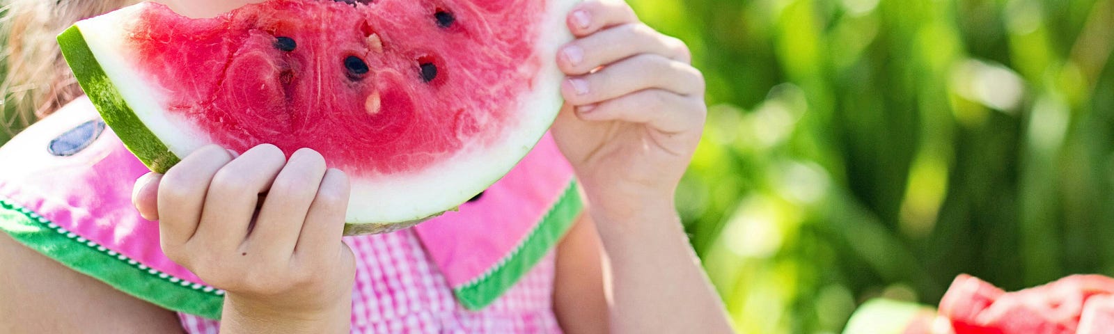 Image shows little girl wearing a pink summer dress and eating a large slice of watermelon beside a bowl of more watermelon. Tall plants in background on a bright sunny day.