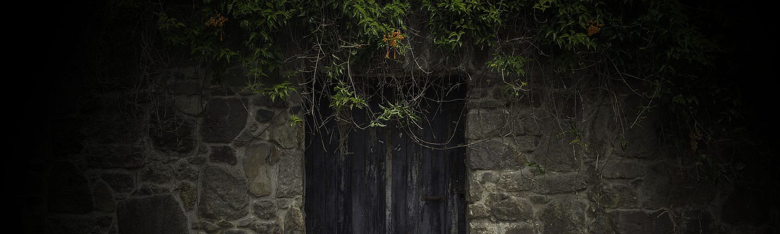 Photo of a wooden door in a stone wall.