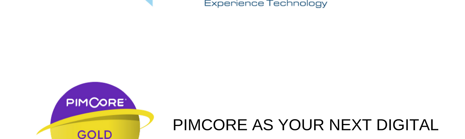 Are You Looking for Your Next Pimcore Digital Experience Platform?