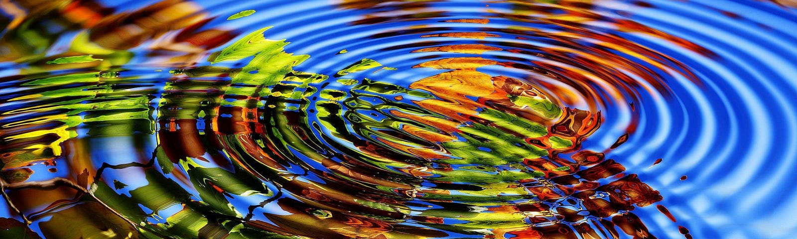 Water ripples merging into each other. Beautiful.