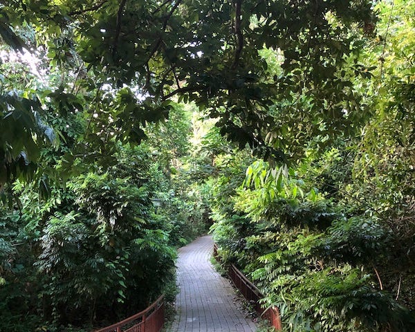 A walking path in the park