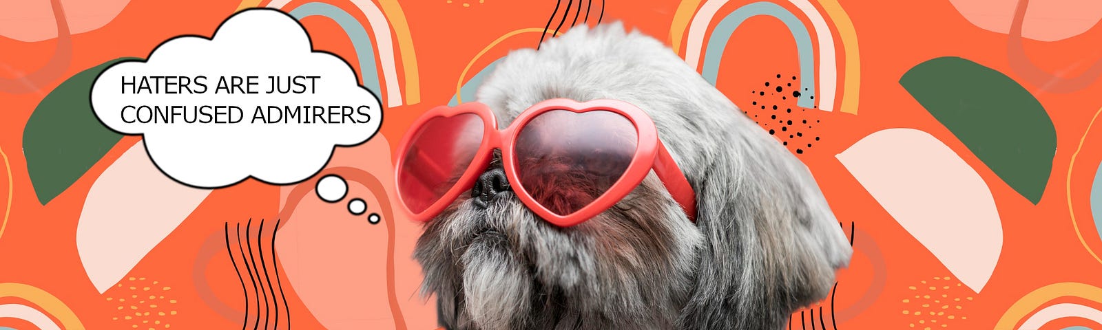 Picture of a cool-as-hell shitzu wearing heart-shaped sunglasses with a thought bubble saying “haters are just confused admirers”