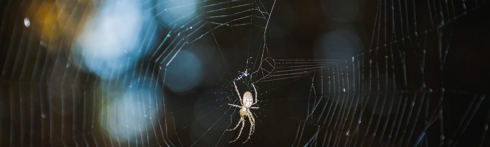 Silver-colored spider at the center of its web, with a dark, blurred out background