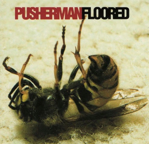 album cover for Pusherman’s Floored featuring a dead wasp on its back