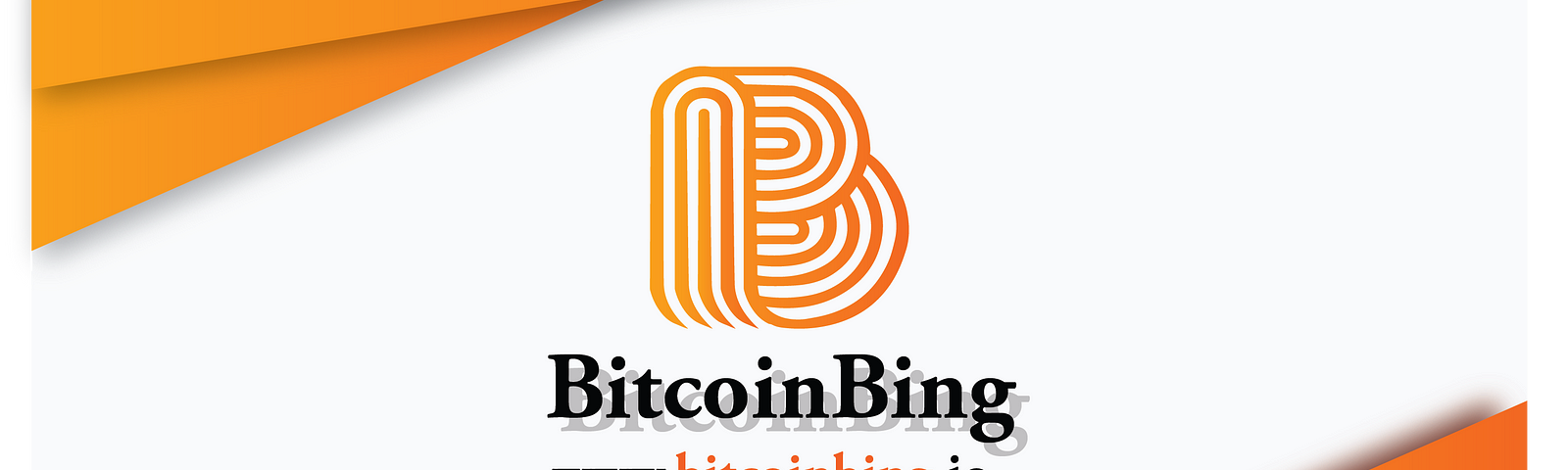 Image result for bitcoin bing ico review