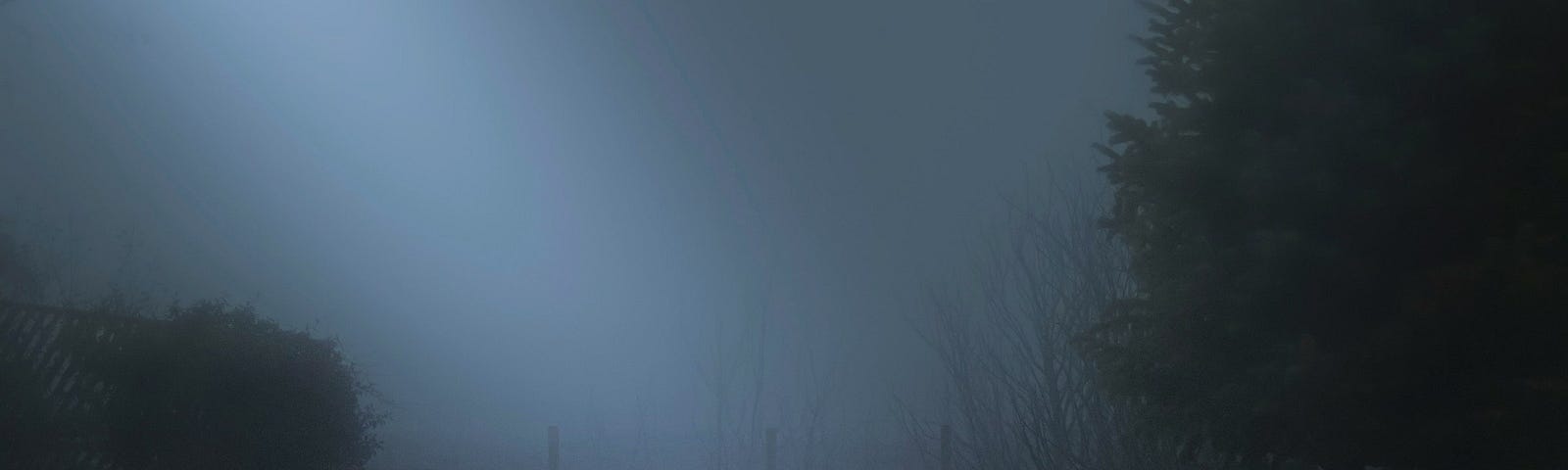 A bench sitting in a foggy park at night.