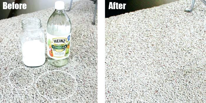 remove dog pee from rug