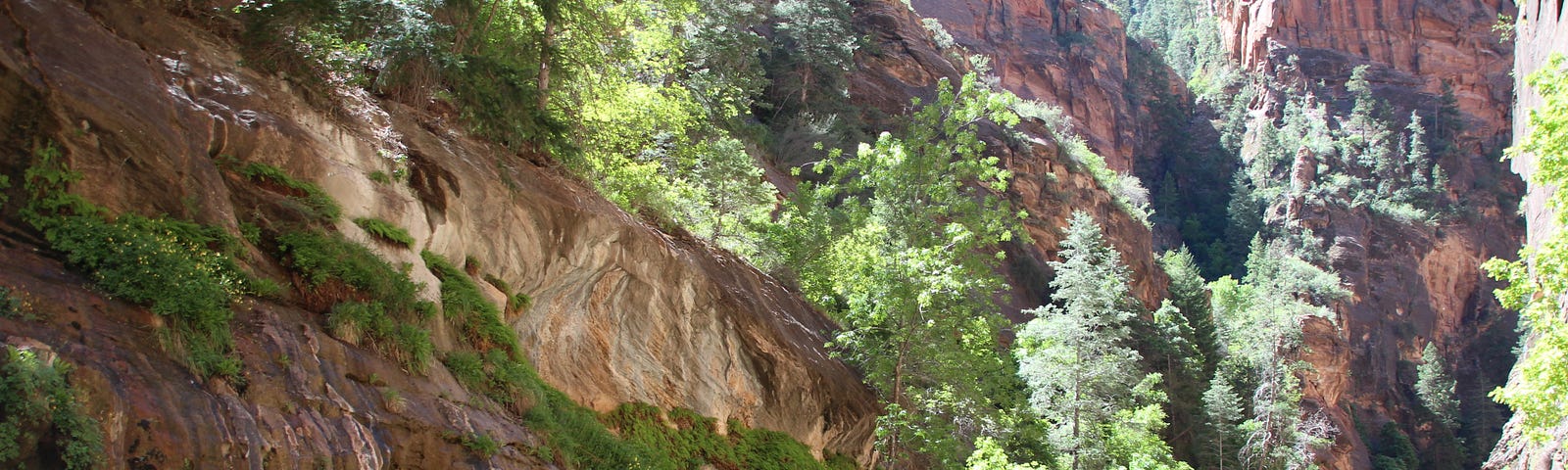 A river running between cliffs with people hiking through waist deep water