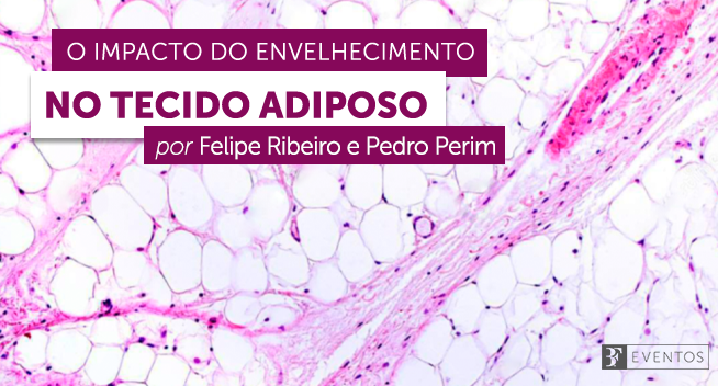 O Impacto Do Envelhecimento No Tecido Adiposo By Pedro Perim Bf Eventos Medium