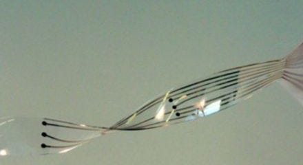 Flexible spinal cord implants will let paralyzed people walk