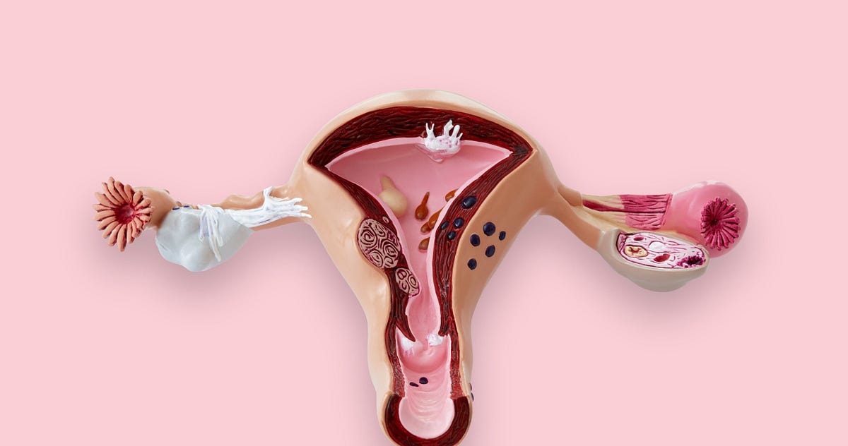 Anti-Abortion Lawmakers Have No Idea How Women’s Bodies Work