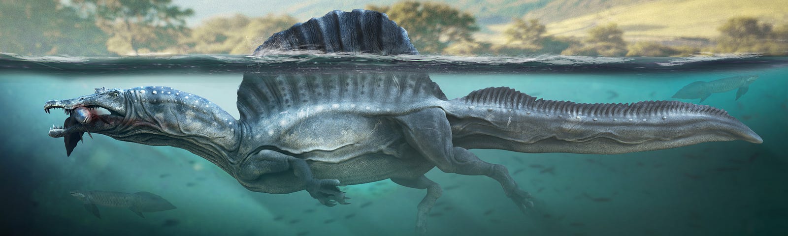 Spinosaurus aegypticus reconstruction