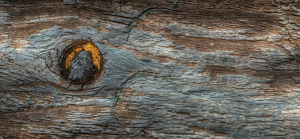 Knot in a plank of wood