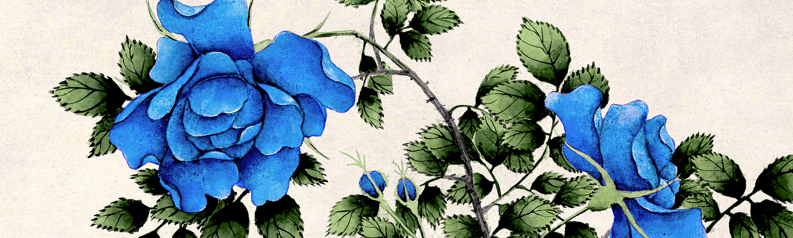 An 18th century Chinese painting of roses, with the roses’ color changed to blue.