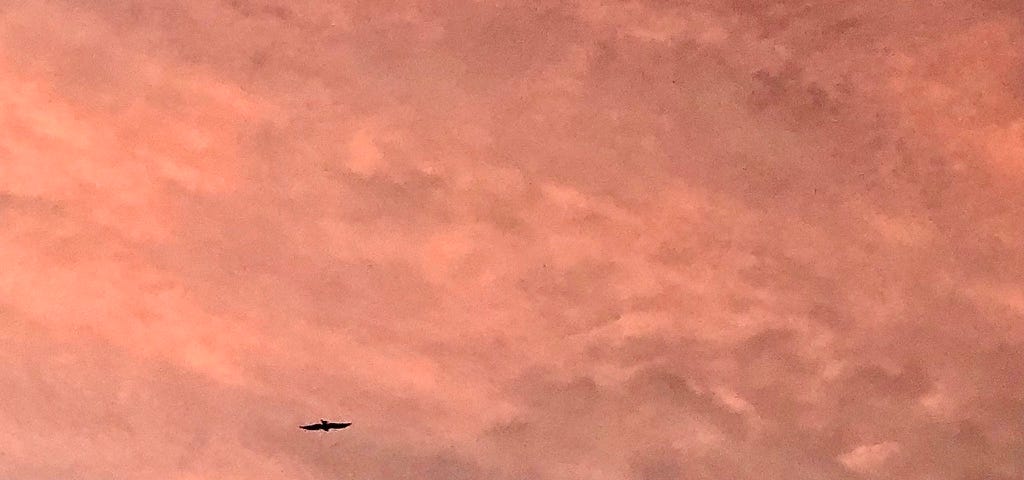 afterlife poem, find me in the sky, photo of pink sky