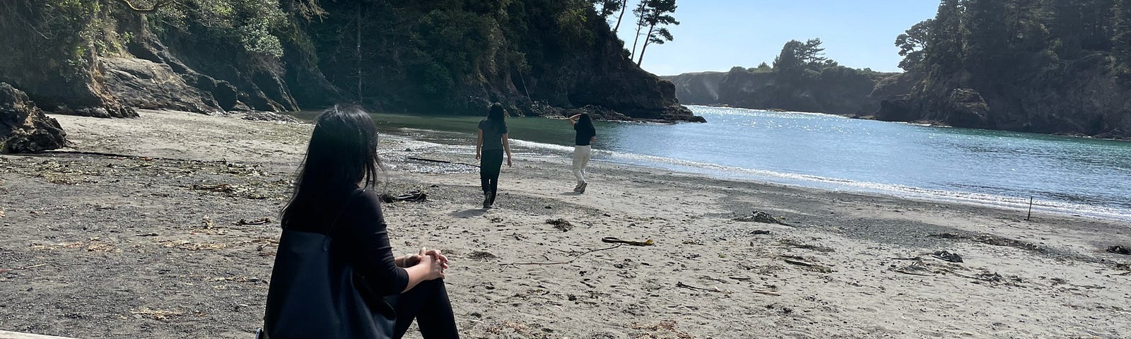 Woman sits on log with her back to the camera as two teen girls walk toward the water’s edge.