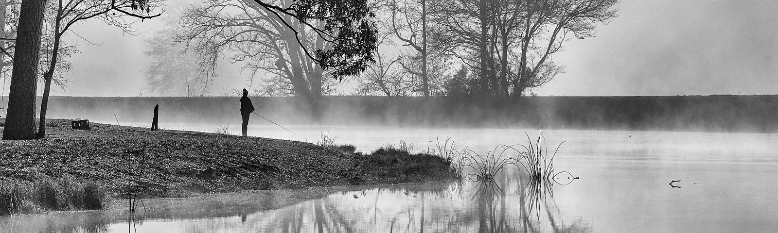 Fishing in solitude, early morning as dew lifts.