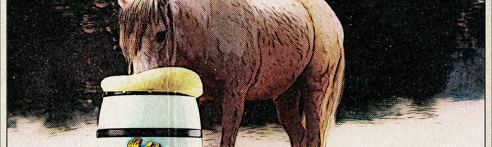 Horse drinking from beer keg
