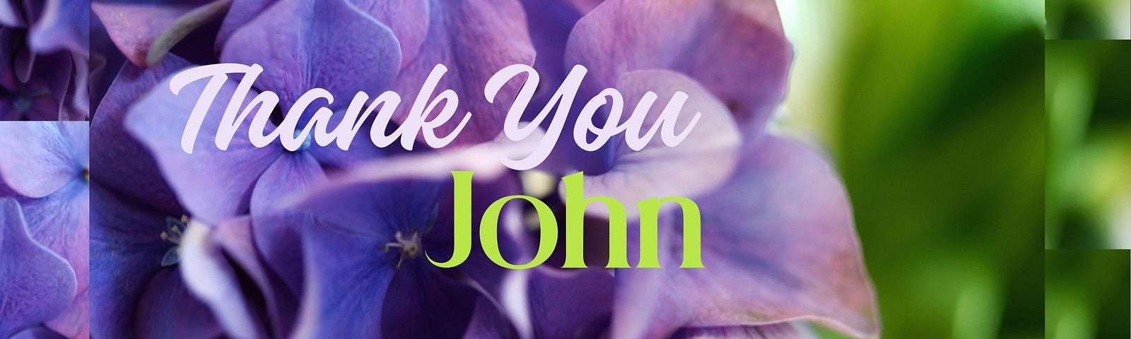 A close-up of purple hydrangea with the words, ‘Thank you John’, superimposed in the centre.