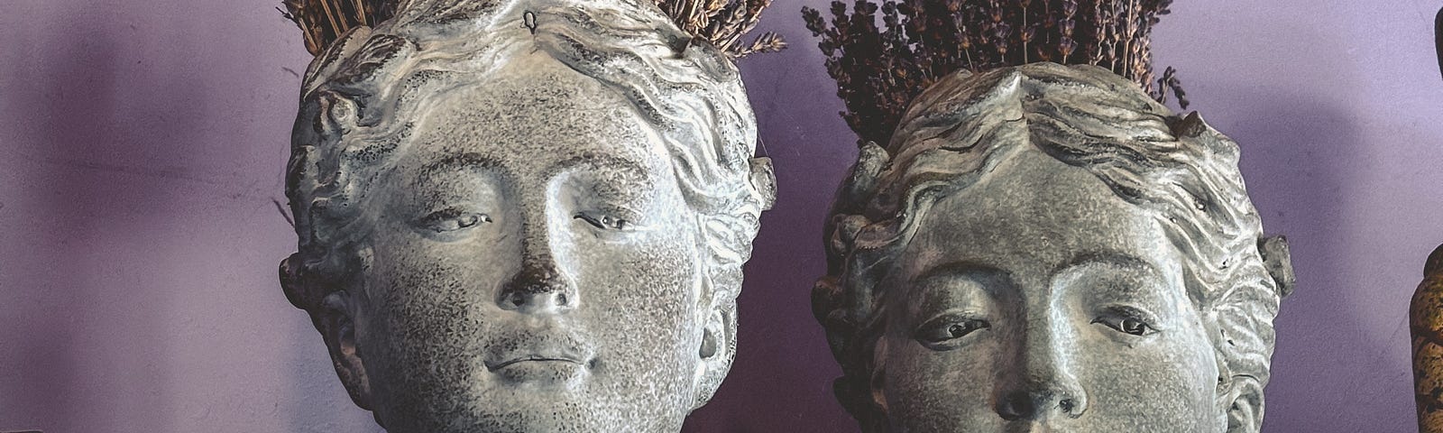 Two stone vases shaped as life sized, Grecian sculptures of women’s heads filled with drief lavendar set against a lilac wall.