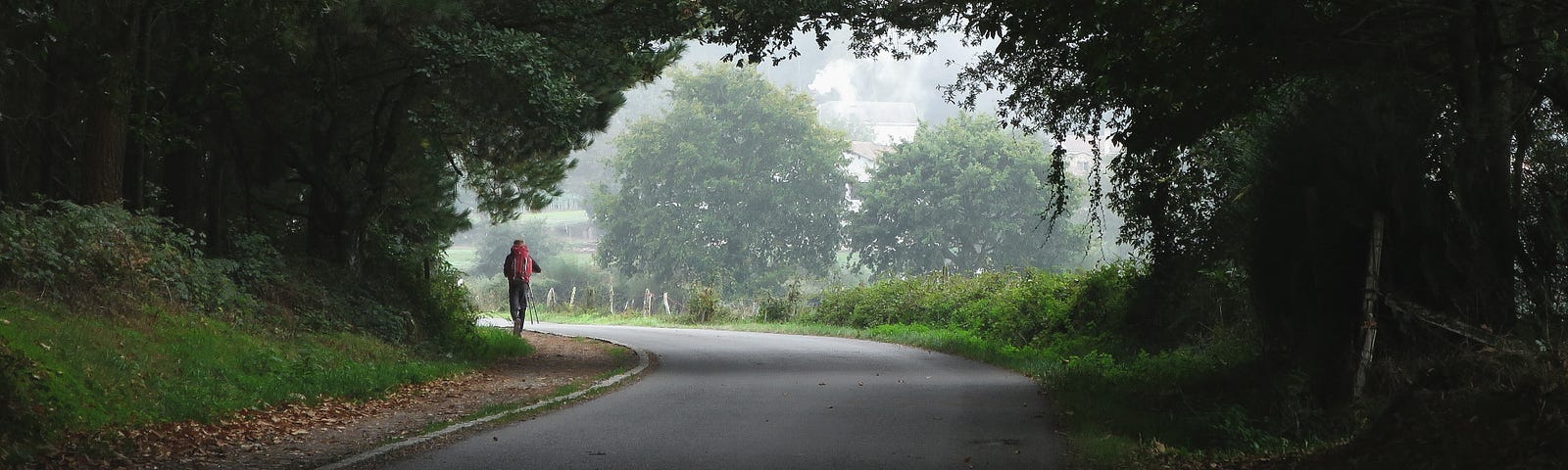 A photo taken from afar of a runner going down a path with lush trees and green.