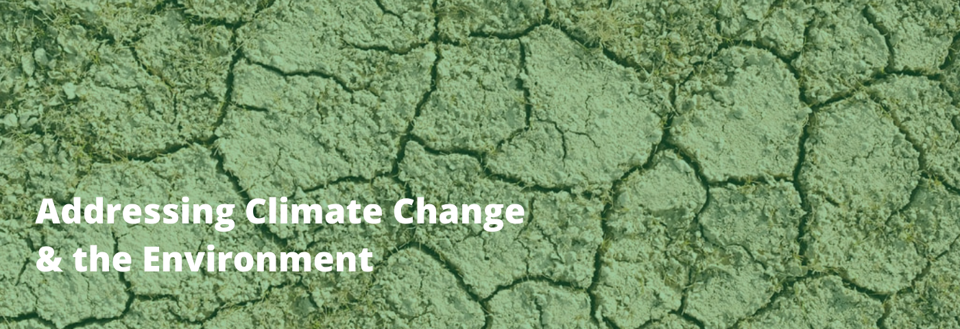 Addressing Climate Change and the Environment