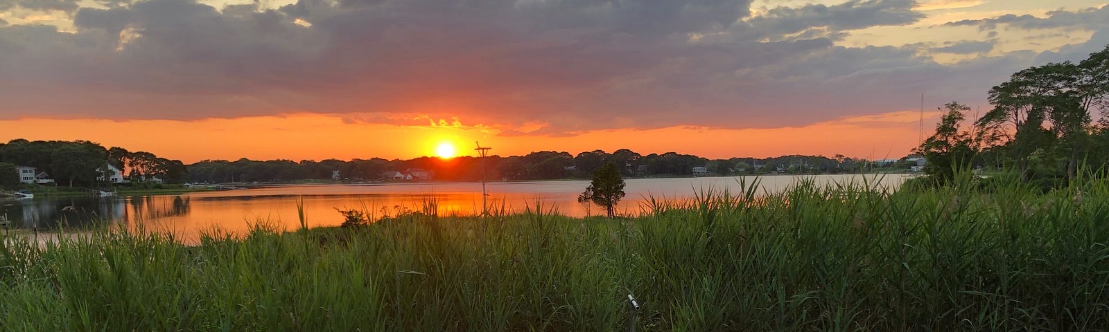 Sunset over Long Island Sound, with flowers in the foreground, and a bench and lion statue on the grass.