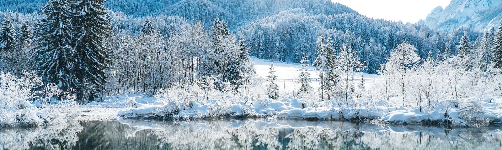 Picture of winter wonderland.