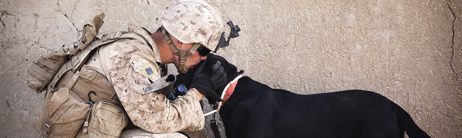 Soldier in full uniform crouched down kissing a big black dog on the head