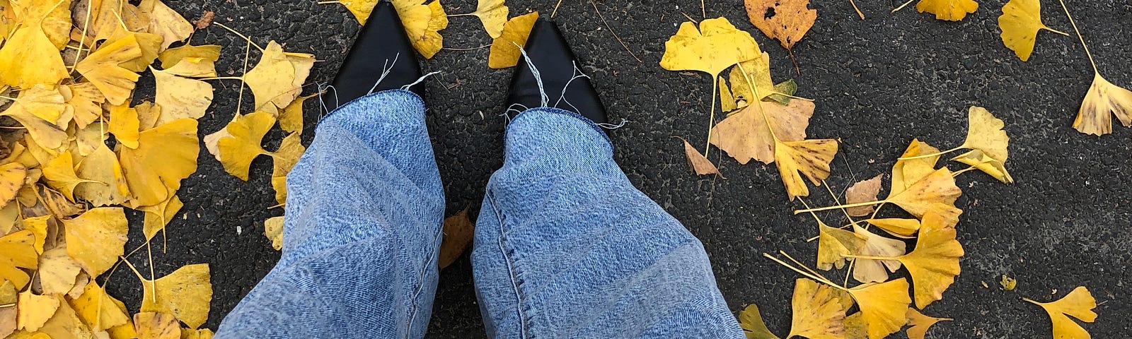 Pointy black shoes peak out of wide leg denim jeans surrounded by fallen, yellow ginko leaves on a street.