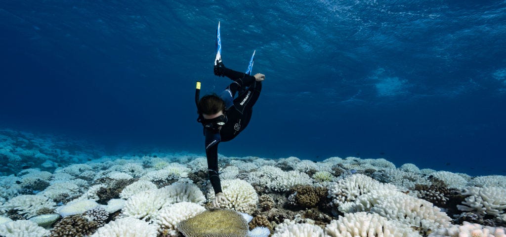 A diver looks at reef of a major bleaching on the coral reefs of the Society Islands on May 9, 2019 in the Polynesian Islands