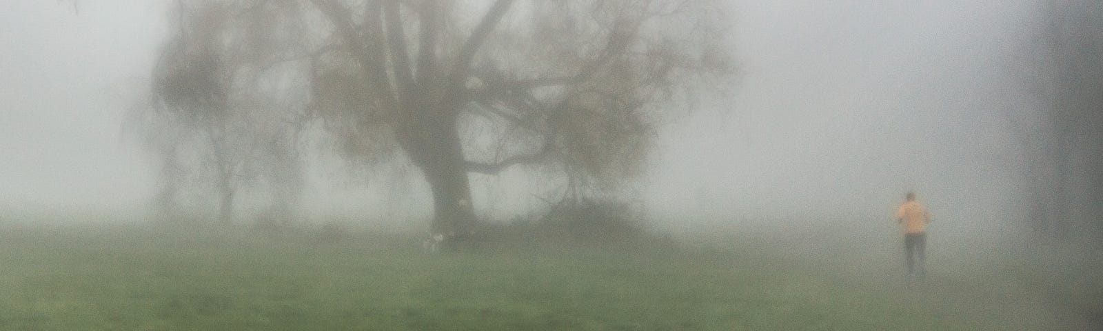 In London fog, a man and dog sit under a tree while a man jogs past.
