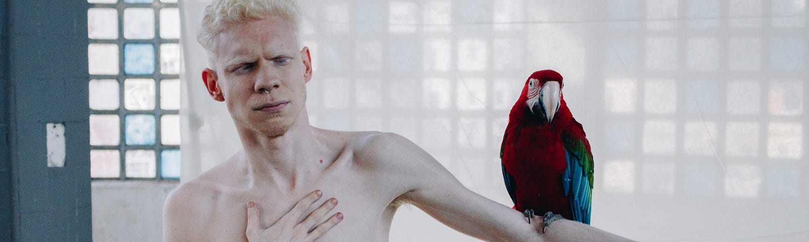 An arty photograph of a shirtless man with his outstretched arm, which has a red-and-blue parrot perched near the elbow.