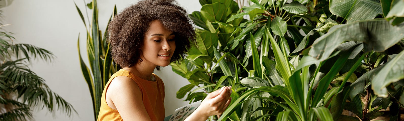 A young black woman in a plant store admiring a plant.