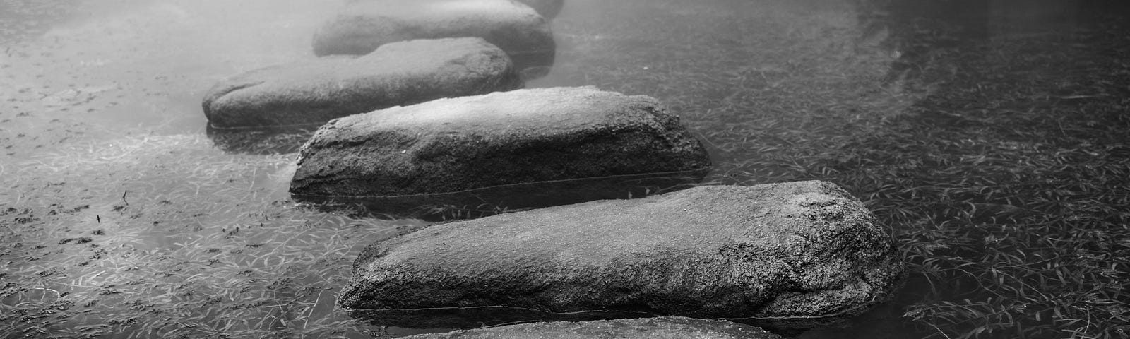 Black and white stepping stones in a river.