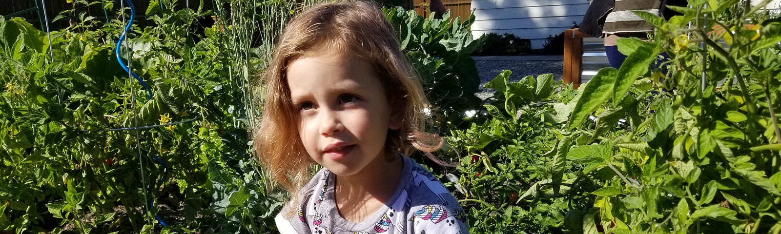 Author’s 4-year-old child, crouching in a garden with unripe tomatoes, looking like she’s in the middle of a deep thought.