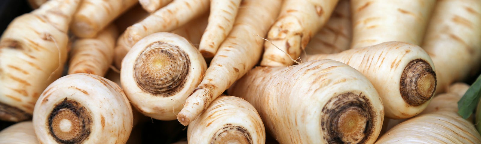 A pile of parsnips.