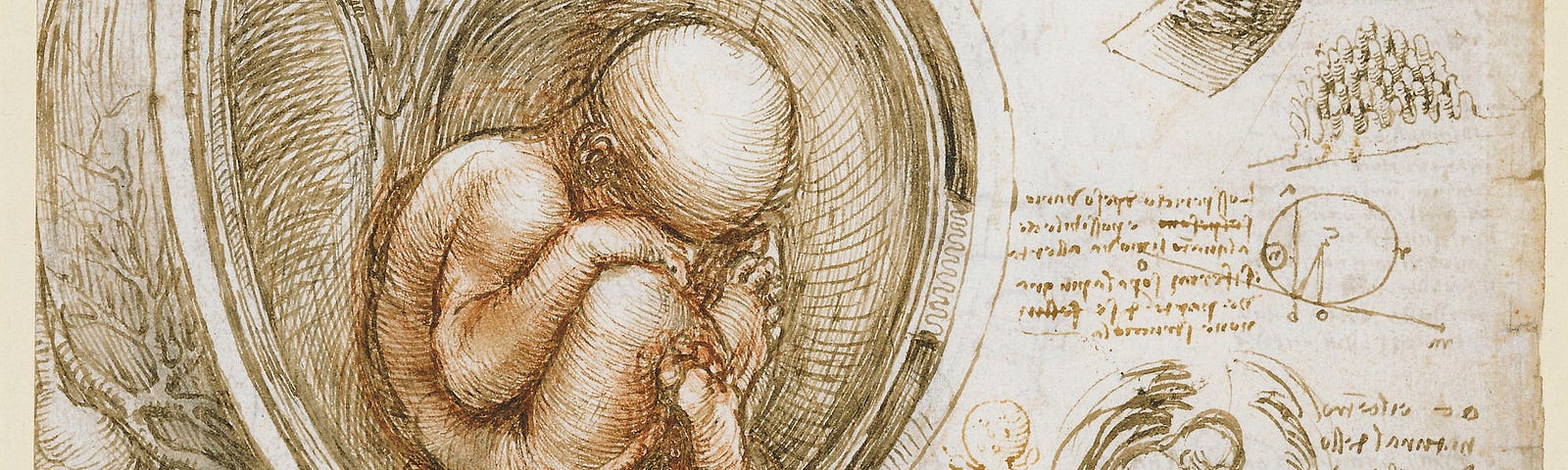 Above: Five hundred years ago, one of history’s greatest artists and scientists showed the human mystery as a biological wonder. The Guardian called it “the most beautiful work of art in the world.” It’s now at the Royal Collection in Windsor Castle. Image by Leonardo da Vinci (1452–1519. His Studies of the Foetus in the Womb is available via Wikimedia Commons.