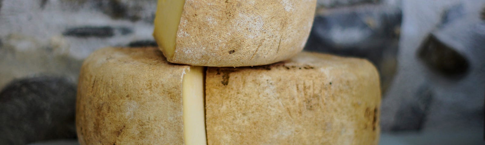 Cheese wheel cut into chunks