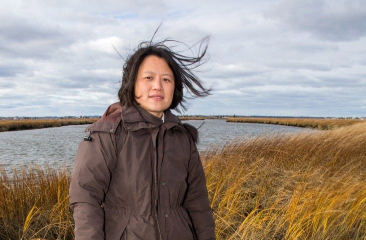 Woman standing in a salt marsh