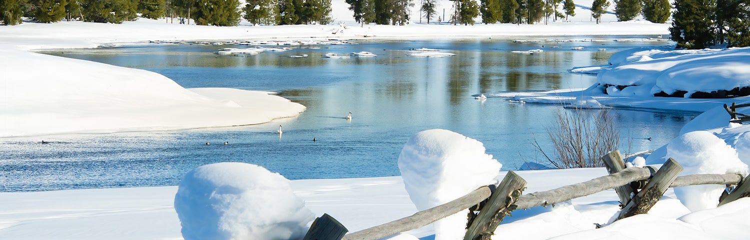 Fed by warm springs, the Henrys Fork flows all winter. Harriman State Park, Idaho. By Kris Cochran