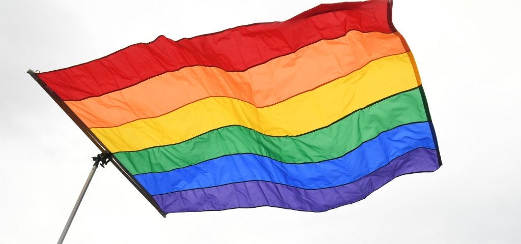 Pride flag at a demonstration in front of the Supreme Court.