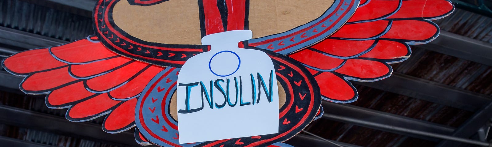 Participant holding a protest sign at a rally for affordable insulin for people with diabetes.