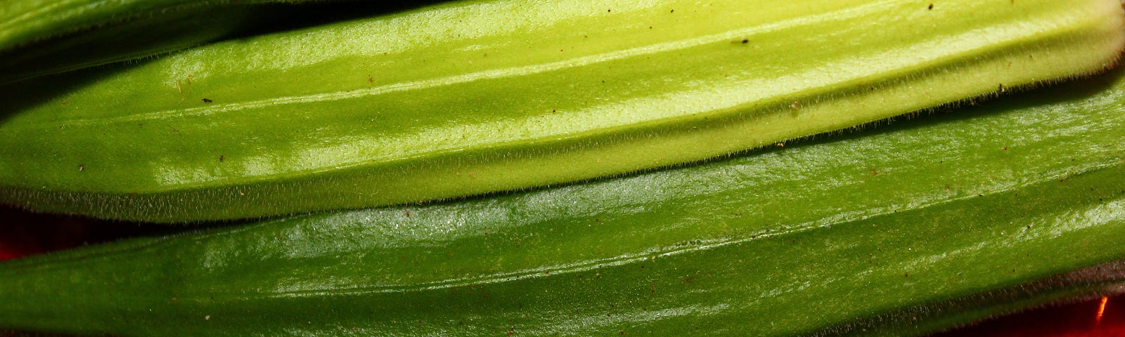 A close-up of a stack of okra.