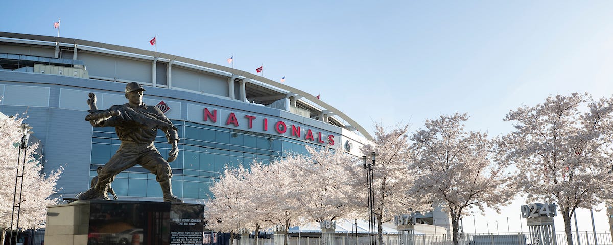 Washington Nationals fan Peter Vogel gets 2019 World Series ring